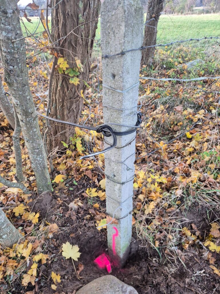 Czarna Dąbrówka, Sulęczyno, Bukowina – wznowienie znaków granicznych